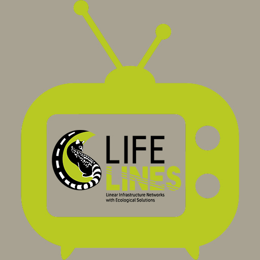 tv_LL_logo