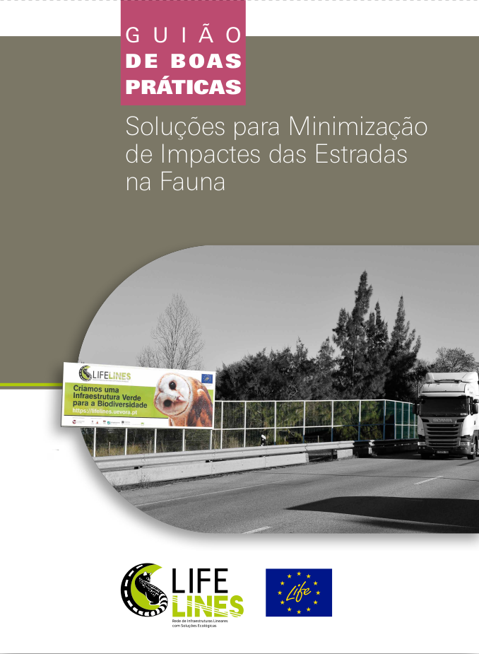solucoes_minimizacao_impactes_estrada_fauna